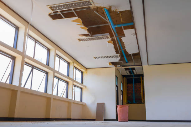 Best Basement water damage restoration  in Tallmadge, OH