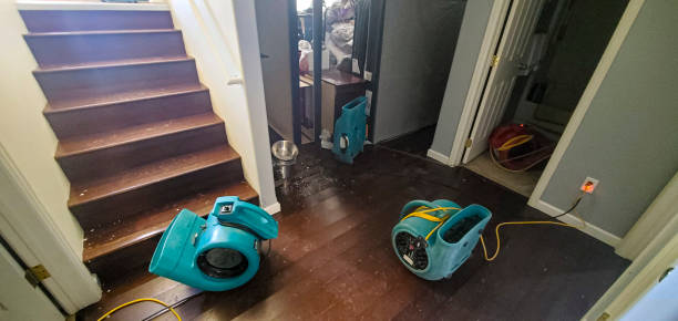 Best Water damage cleanup near me  in Tallmadge, OH