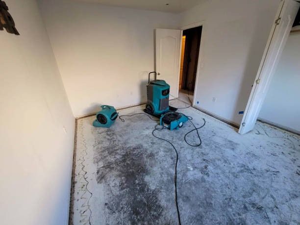Best Water damage restoration near me  in Tallmadge, OH