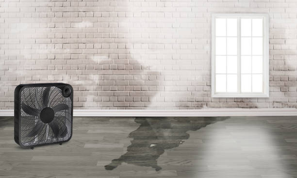 Best Commercial water damage restoration  in Tallmadge, OH