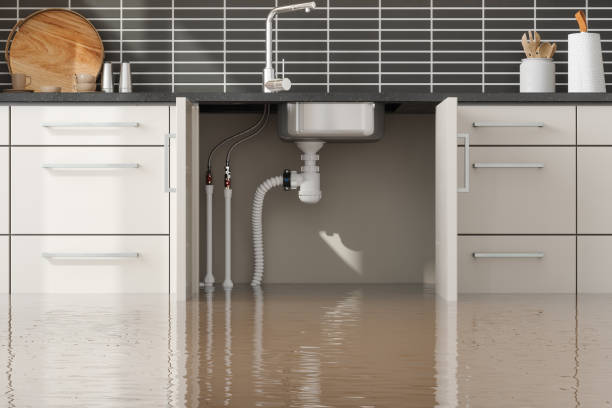 Best Flooded house restoration  in Tallmadge, OH