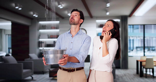 Best Water damage restoration specialists  in Tallmadge, OH